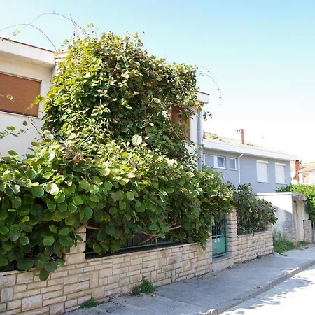 Gortanova 6+2 Apartman *