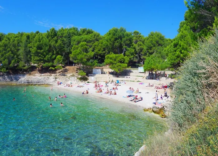 Διαμέρισμα Gortanova 6+2 Πούλα