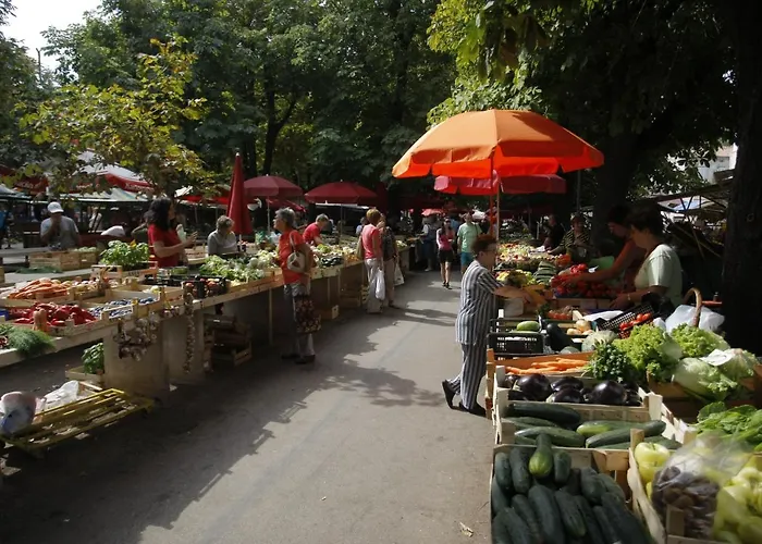 Gortanova 6+2 Πούλα