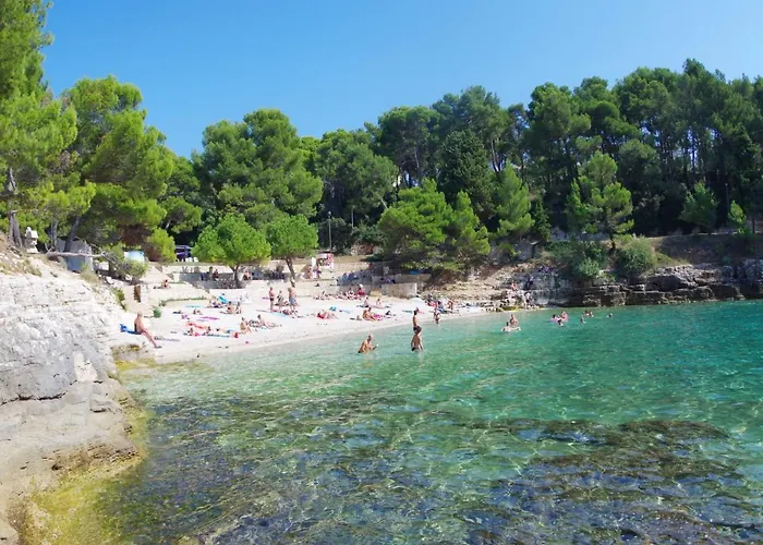 Gortanova 6+2 Διαμέρισμα Πούλα